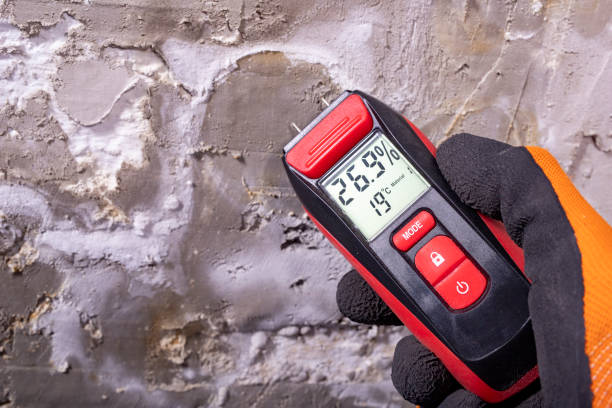 Best Mold Testing and Inspection Services in Fontana, CA