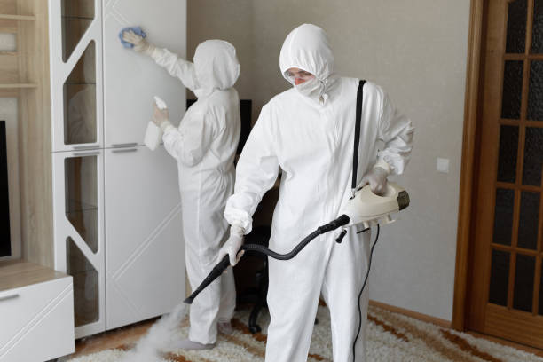 Best Basement Mold Remediation in Fontana, CA